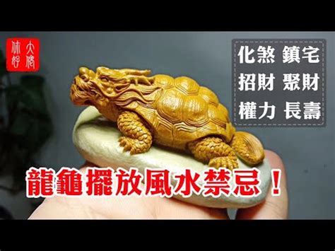 烏龜擋煞|【風水烏龜】這幾點風水禁忌最需要注意 